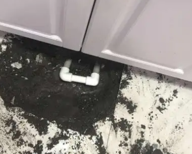 潍坊市查漏水哪家好