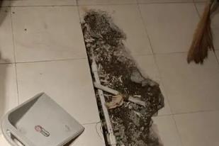 潍坊市卫生间漏水检测电话